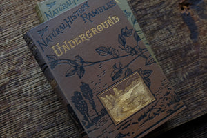 1870s-1890s Natural History Rambles Book