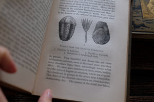 1870s-1890s Natural History Rambles Book