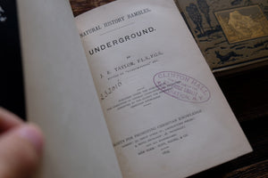 1870s-1890s Natural History Rambles Book