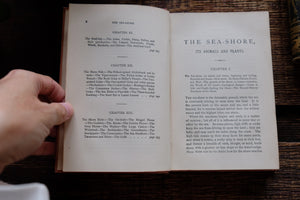 1870s-1890s Natural History Rambles Book