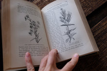 1870s-1890s Natural History Rambles Book