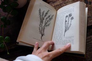 1870s-1890s Natural History Rambles Book