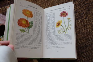 The Observer's Book of Flowers (early edition)