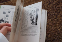 The Observer's Book of Flowers (early edition)