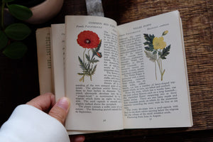 The Observer's Book of Flowers (early edition)