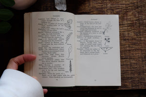The Observer's Book of Flowers (early edition)