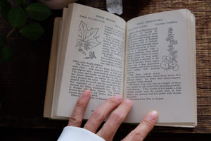 The Observer's Book of Flowers (early edition)