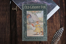 Old Granny Fox