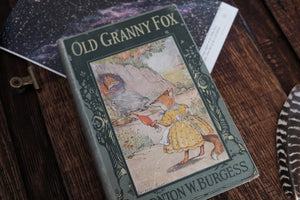 Old Granny Fox