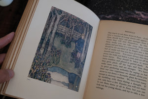 Children's Book of Gardening