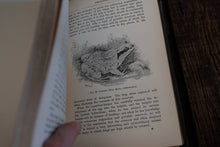Freshwater Aquaria by Gregory C. Bateman