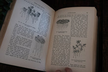 Freshwater Aquaria by Gregory C. Bateman