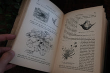 Freshwater Aquaria by Gregory C. Bateman