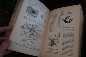 Freshwater Aquaria by Gregory C. Bateman