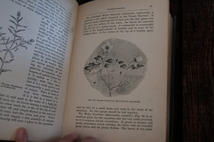 Freshwater Aquaria by Gregory C. Bateman