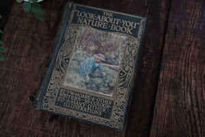 The "Look-About-You" Nature Book