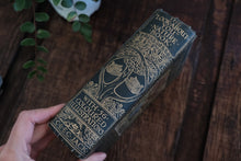 The "Look-About-You" Nature Book