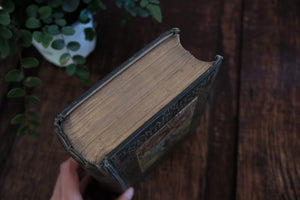 The "Look-About-You" Nature Book