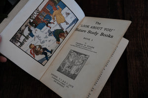 The "Look-About-You" Nature Book