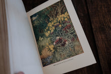 The "Look-About-You" Nature Book