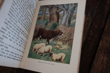 The "Look-About-You" Nature Book