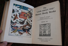 The "Look-About-You" Nature Book