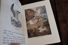 The "Look-About-You" Nature Book