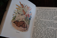 The "Look-About-You" Nature Book