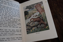 The "Look-About-You" Nature Book