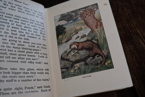 The "Look-About-You" Nature Book