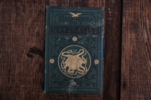 Half Hours with a Naturalist - Rambles Near the Shore