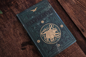 Half Hours with a Naturalist - Rambles Near the Shore