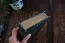 Half Hours with a Naturalist - Rambles Near the Shore