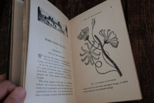 Half Hours with a Naturalist - Rambles Near the Shore