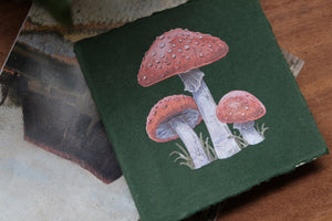 Mushroom Square Sketchbook