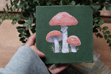 Mushroom Square Sketchbook