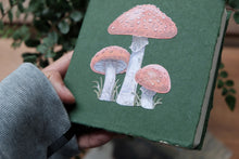 Mushroom Square Sketchbook