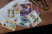 Mini Ephemera Starter-Kit