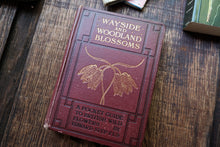 Wayside & Woodland Blossoms