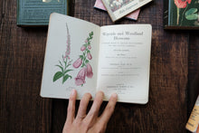 Wayside & Woodland Blossoms