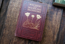 Wayside & Woodland Blossoms