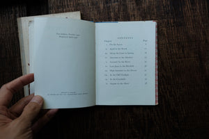 Pocket Vintage Flower Book
