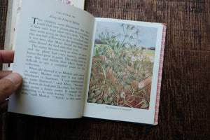 Pocket Vintage Flower Book