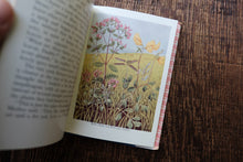 Pocket Vintage Flower Book
