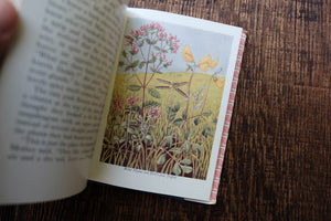 Pocket Vintage Flower Book