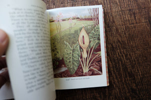 Pocket Vintage Flower Book