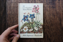 Pocket Vintage Flower Book