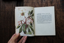 Pocket Vintage Flower Book