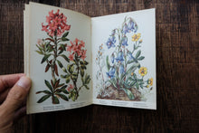 Pocket Vintage Flower Book