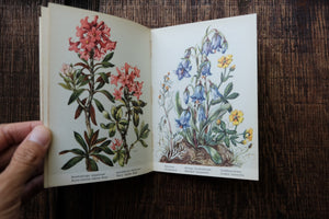 Pocket Vintage Flower Book